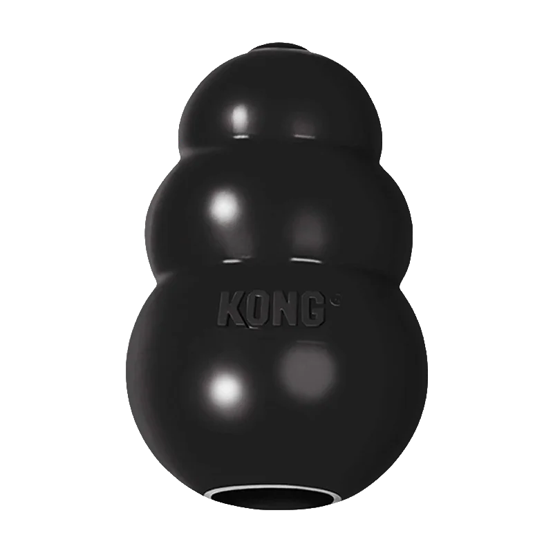 Kong Extreme Black Dog Toy