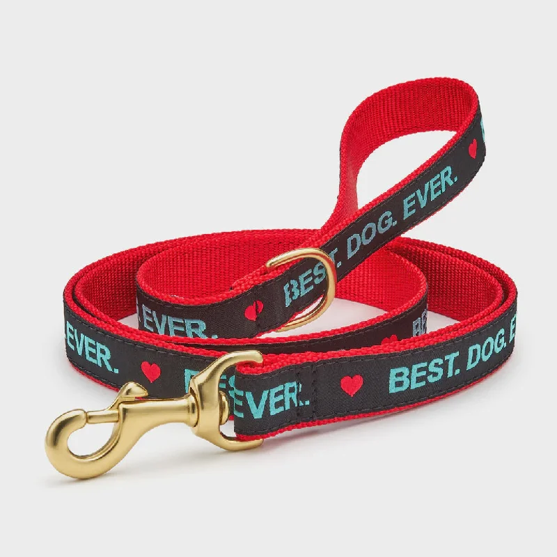 Up Country Best Dog Ever Dog Leash 5ft