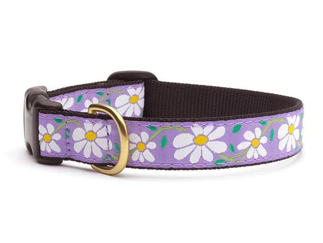 Up Country Purple Daisy Dog Collar