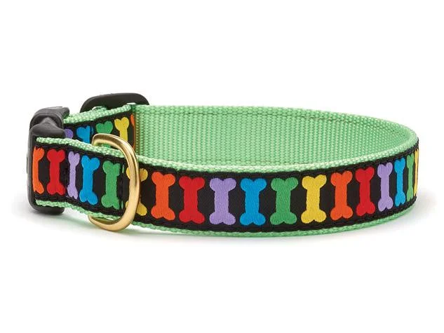 Up Country Rainbone Dog Collar