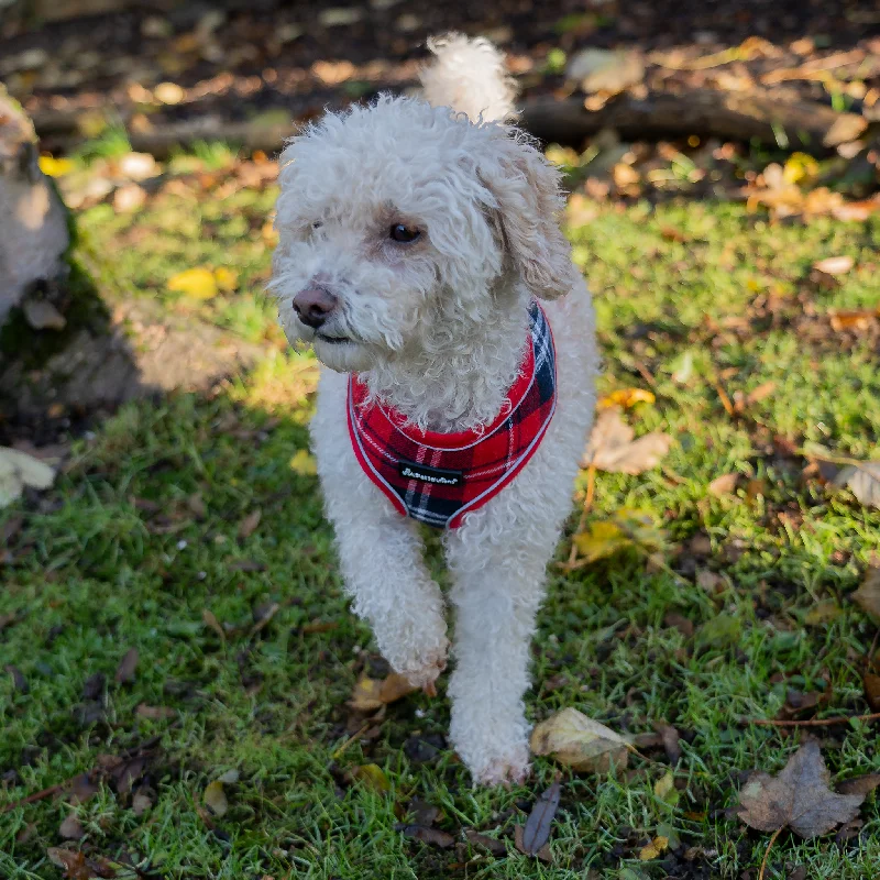 Dog Harness with Reflective Strip in Red Tartan S/M/L/XL