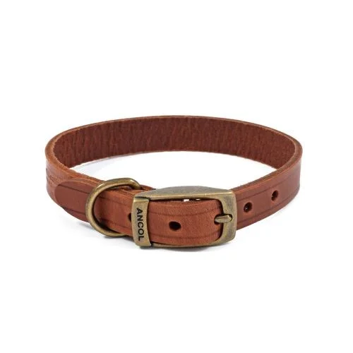 Ancol Latigo Leather Collar Chestnut 26-31cm Size 2