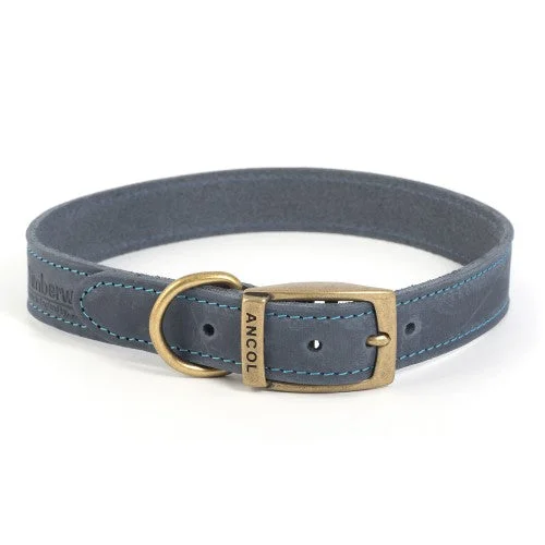 Ancol Timberwolf Leather Collar Blue 26-31cm Size 2