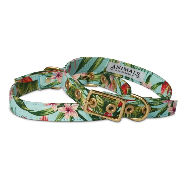 Animals in Charge Cafe Dog Collar Coastal Flower and Brass Small***