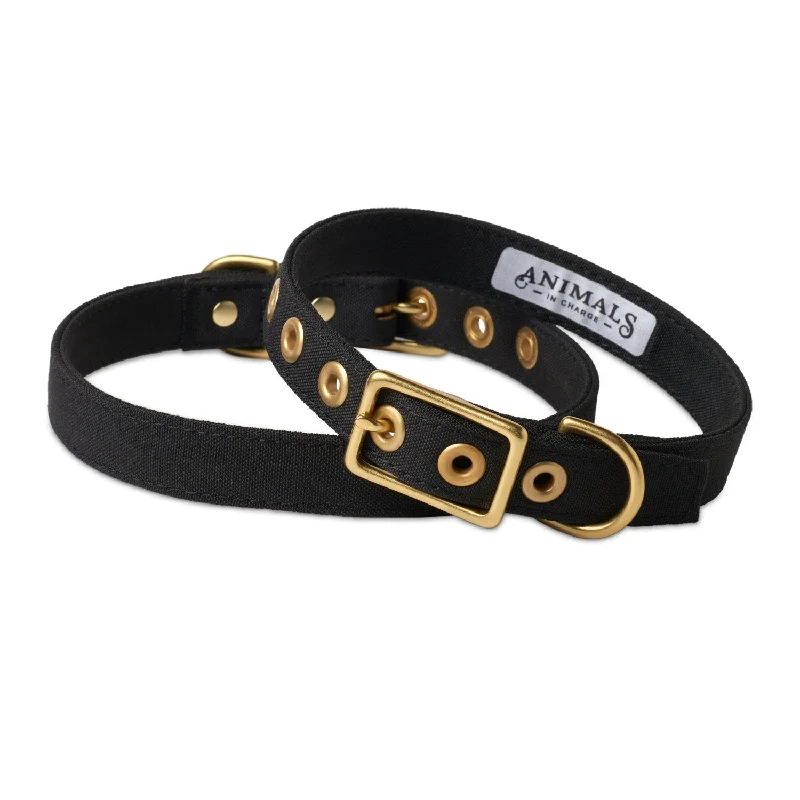 Animals in Charge All Weather Dog Collar Black and Brass Small***