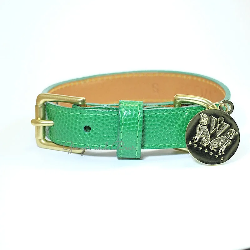 Central Park Dog Collar - Green