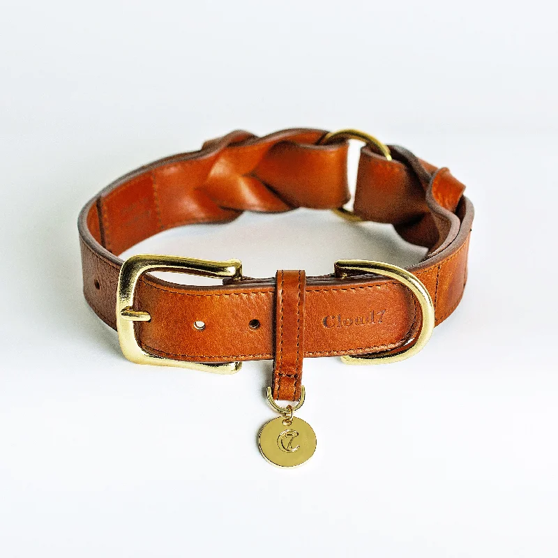 Cloud7: Hyde Park Dog Collar in Cognac