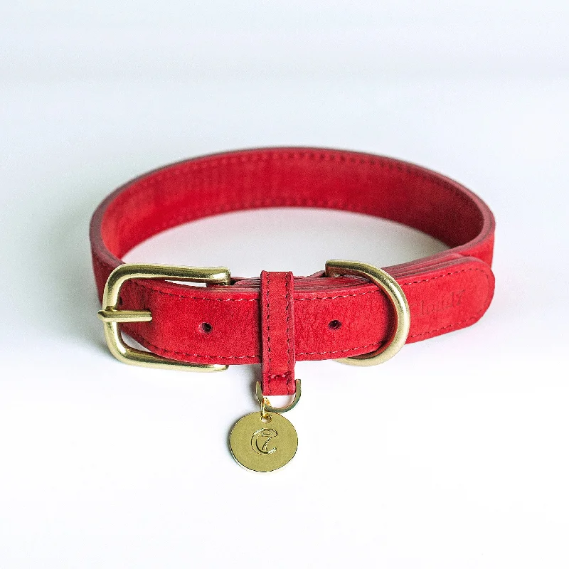 Cloud7: Tiergarten Nubuck Dog Collar in Cherry Red