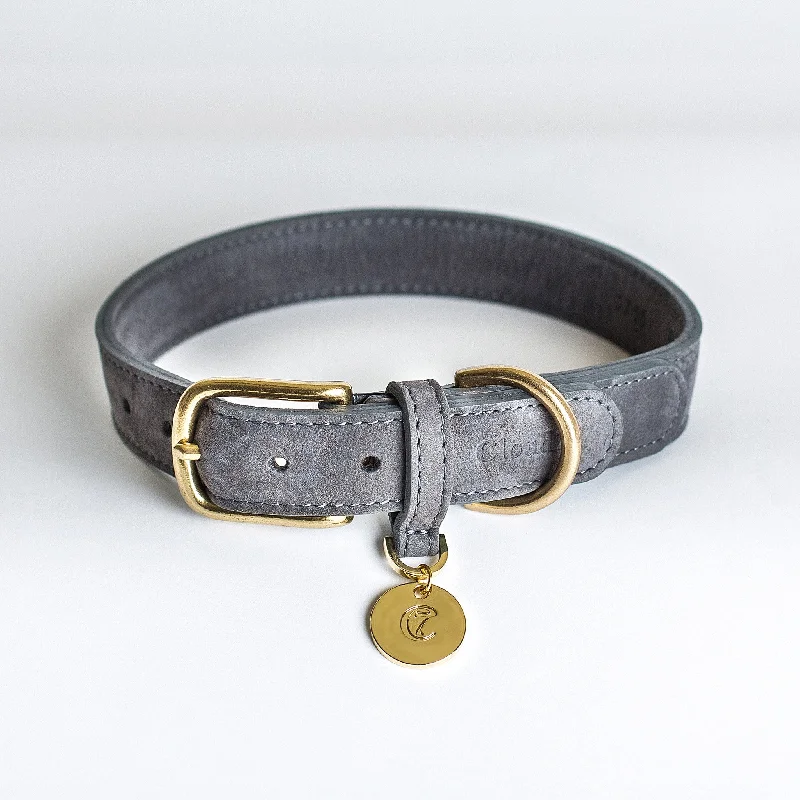 Cloud7: Tiergarten Nubuck Dog Collar in Taupe