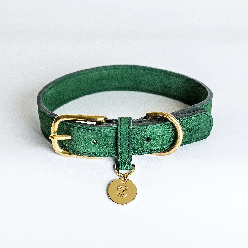 Cloud7: Tiergarten Nubuck Dog Collar in Green