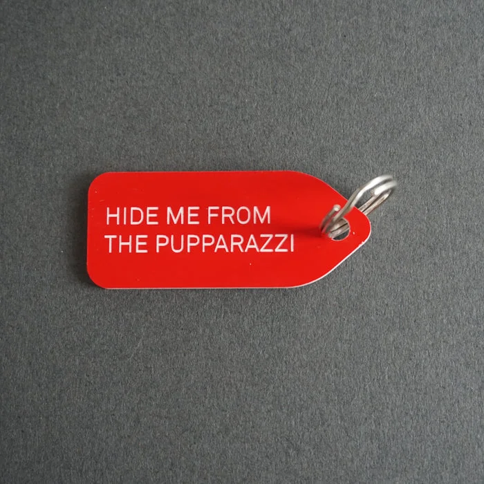 Dog collar Charm: Hide Me from the Pupparazzi