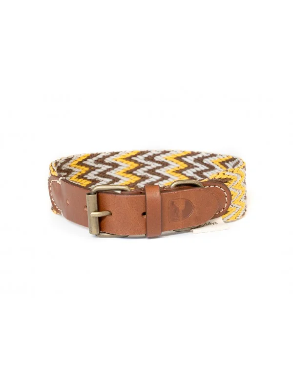 Dog Collar: Peruvian Gold