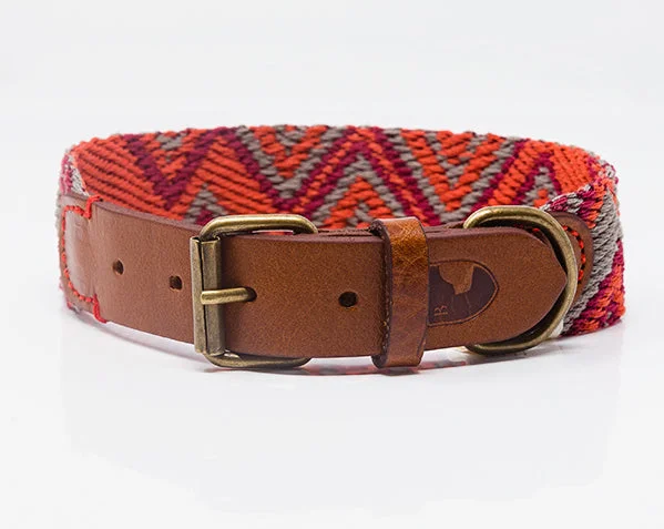 Dog Collar: Peruvian Pikes