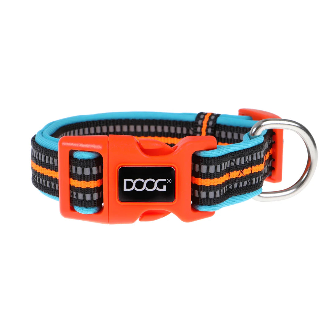 DOOG Neoprene Beethoven Neon Blue and Orange Dog Collar Extra Small