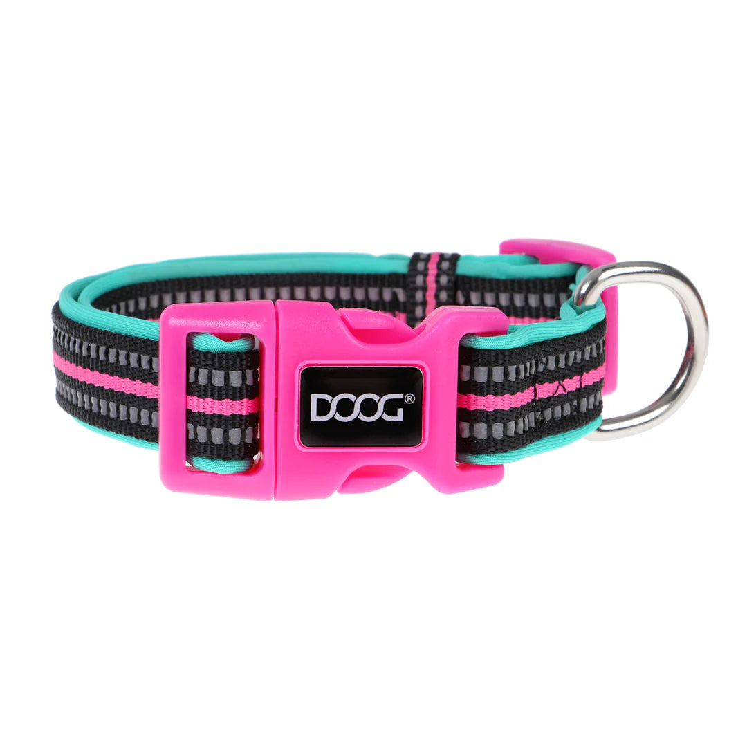 DOOG Neoprene Rin Tin Tin Neon Teal and Pink Dog Collar Extra Small