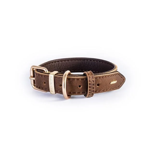 EzyDog Oxford Leather Dog Collar Brown Extra Large<3 <3 <3