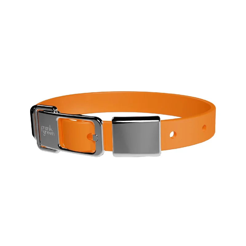 frank green Neon Orange Dog Collar and Tag Medium