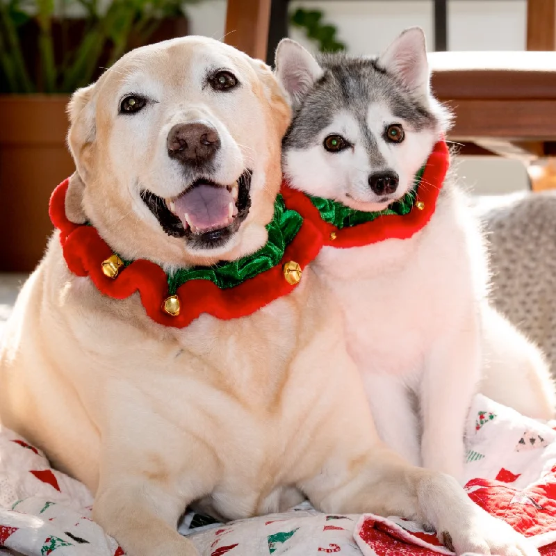 Elf Ruff Collar for Dogs and Cats