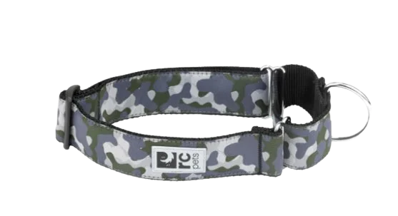 RC Pets Patterned All Webbing Training Dog Collar - Camo