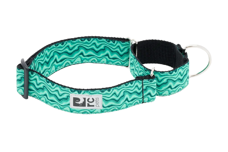 RC Pets Patterned All Webbing Training Dog Collar - Gemstone