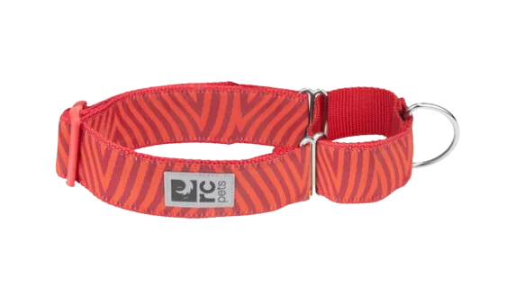 RC Pets Patterned All Webbing Training Dog Collar - Goji Chevron