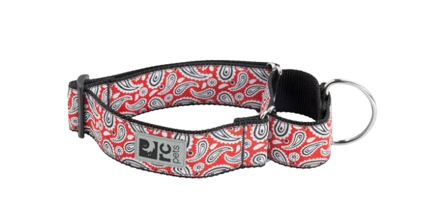 RC Pets Patterned All Webbing Training Dog Collar - Rebel Red