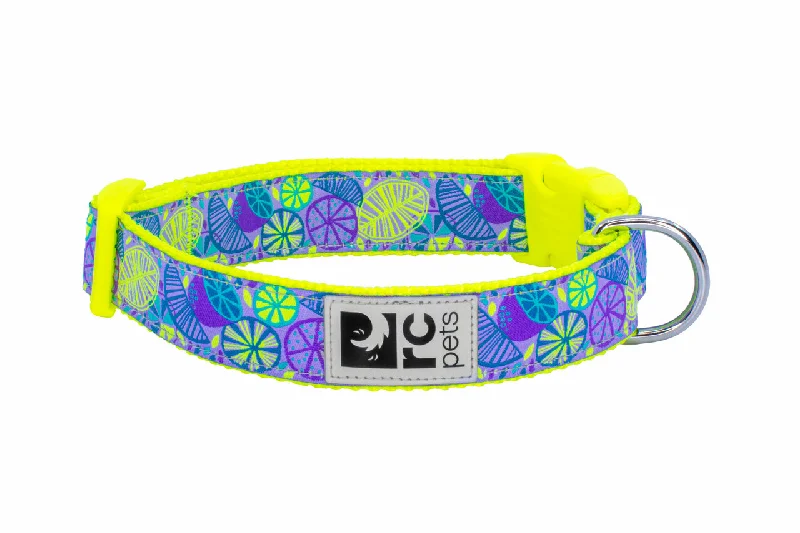 RC Pets Patterned Dog Clip Collar - Citrus