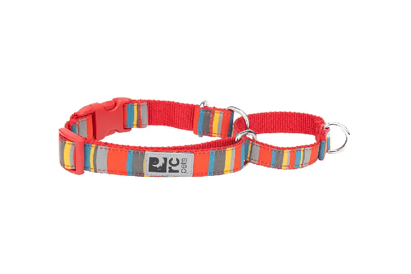 RC Pets Patterned Easy Clip Web Training Dog Collar - Multi Stripes