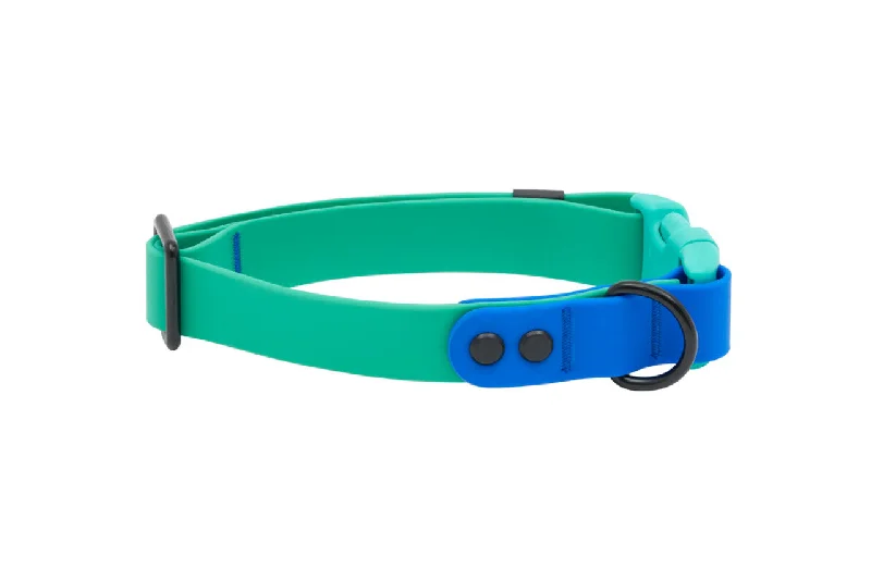 RC Pets Waterproof Dog Clip Collar - Parakeet/Sapphire