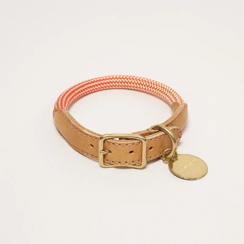 We are Tight: Rope Dog Collar, Cherry Twizzle