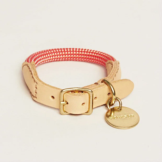 We are Tight: Rope Dog Collar, Coral Aid