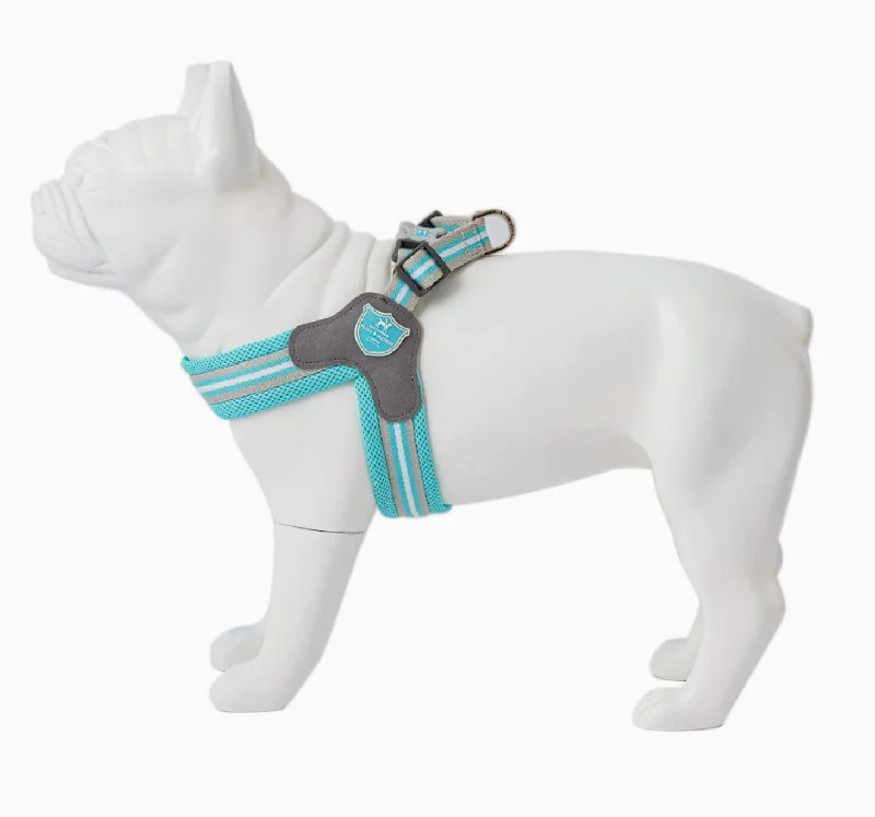 Aqua Easy On Dog Harness