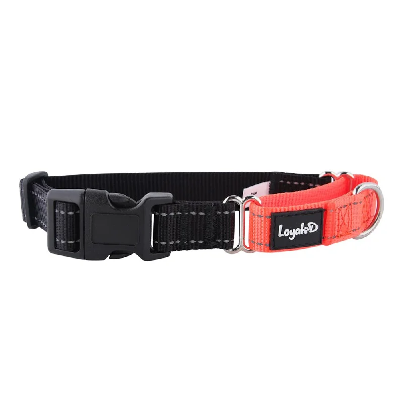 Loyal.D Buckle Martingale Reflective Dog Collar