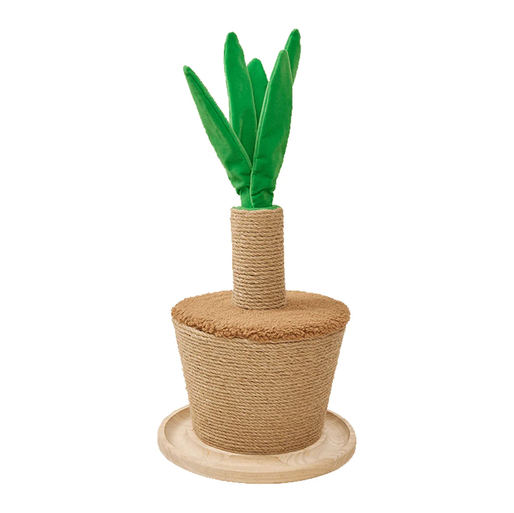 FOFOS Pot Plant Cat Scratcher