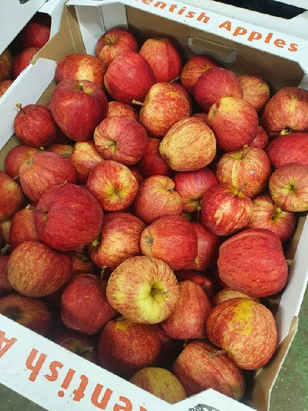 Gala Apples