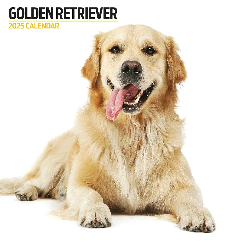 Golden Retriever Modern Calendar 2025