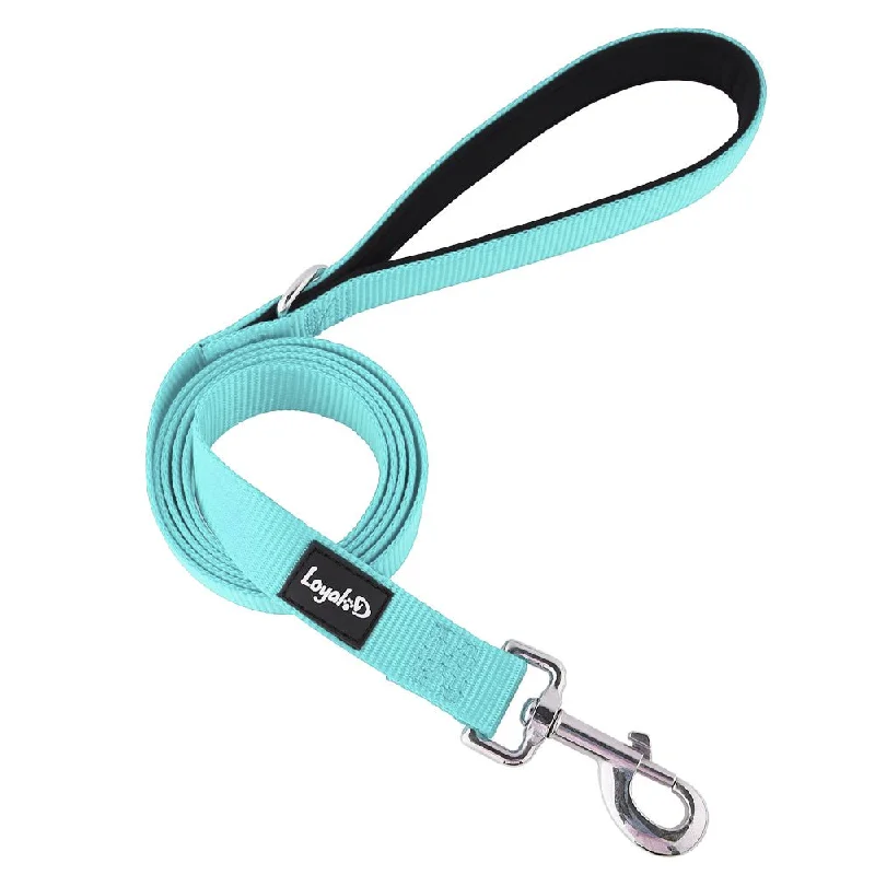 Loyal.D Fix.D Comfort Sky Blue Dog Leash (Neoprene Handle)