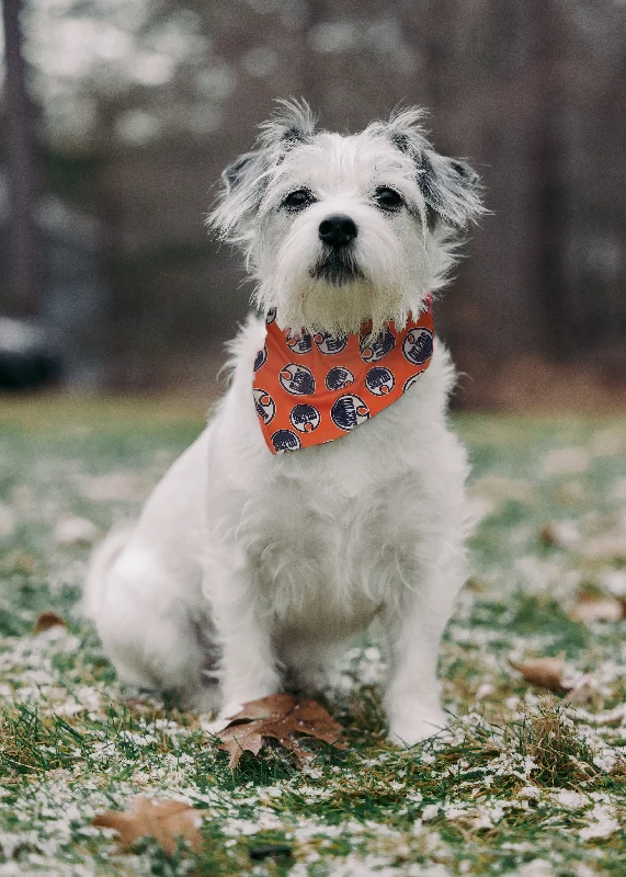 NHL Edmonton Oilers Bandana