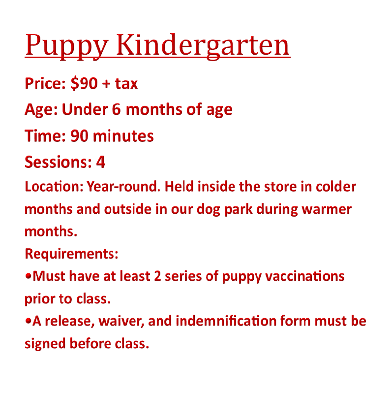 Puppy Kindergarten Training Classes