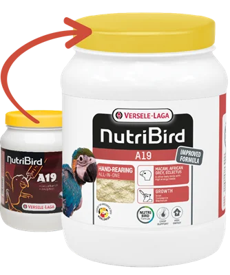 Versele Laga - Nutri Bird A19 - 800g