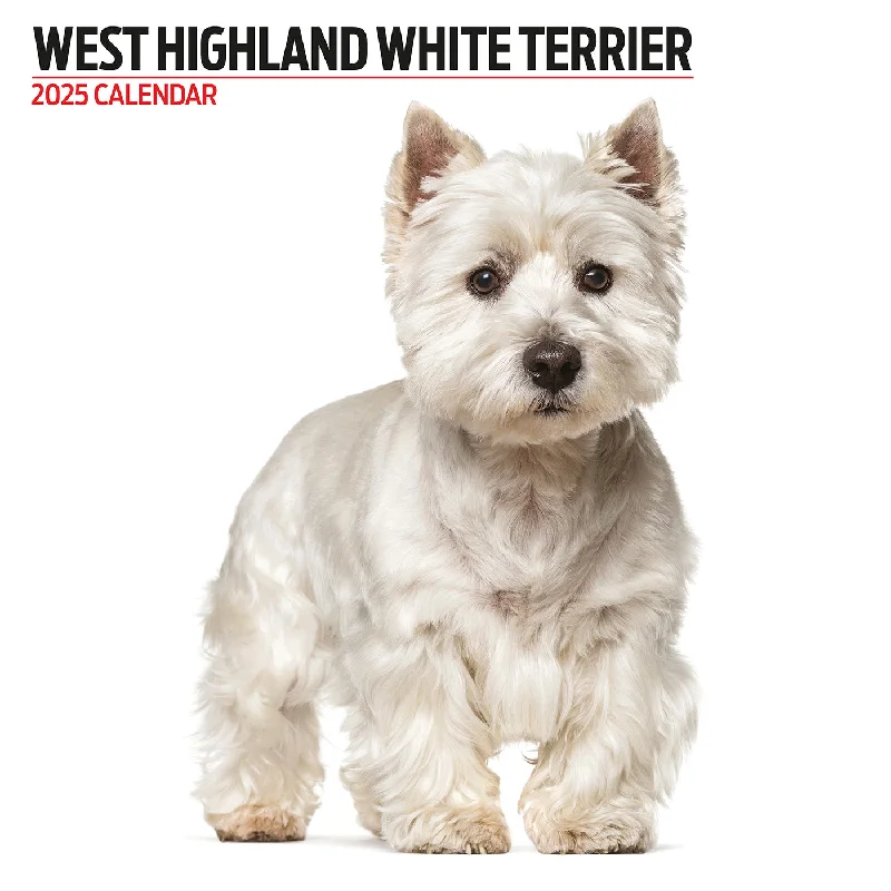 West Highland White Modern Calendar 2025